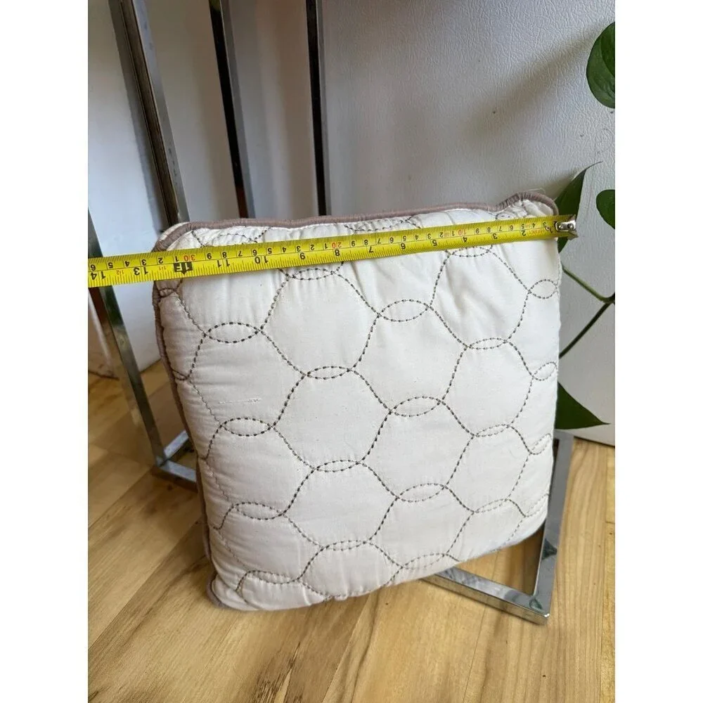 13 X 12.5 throw pillow